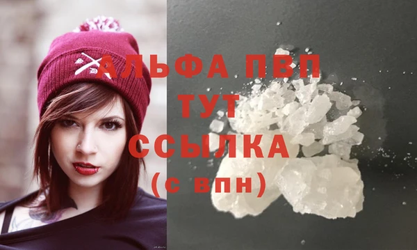 СК Аркадак