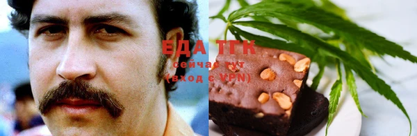 индика Арсеньев