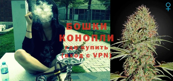 индика Арсеньев