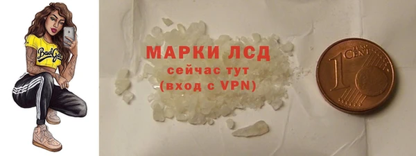 индика Арсеньев