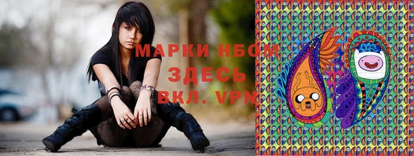 индика Арсеньев