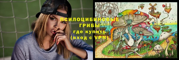 СК Аркадак
