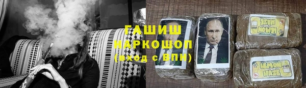 индика Арсеньев