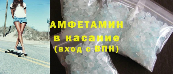 индика Арсеньев